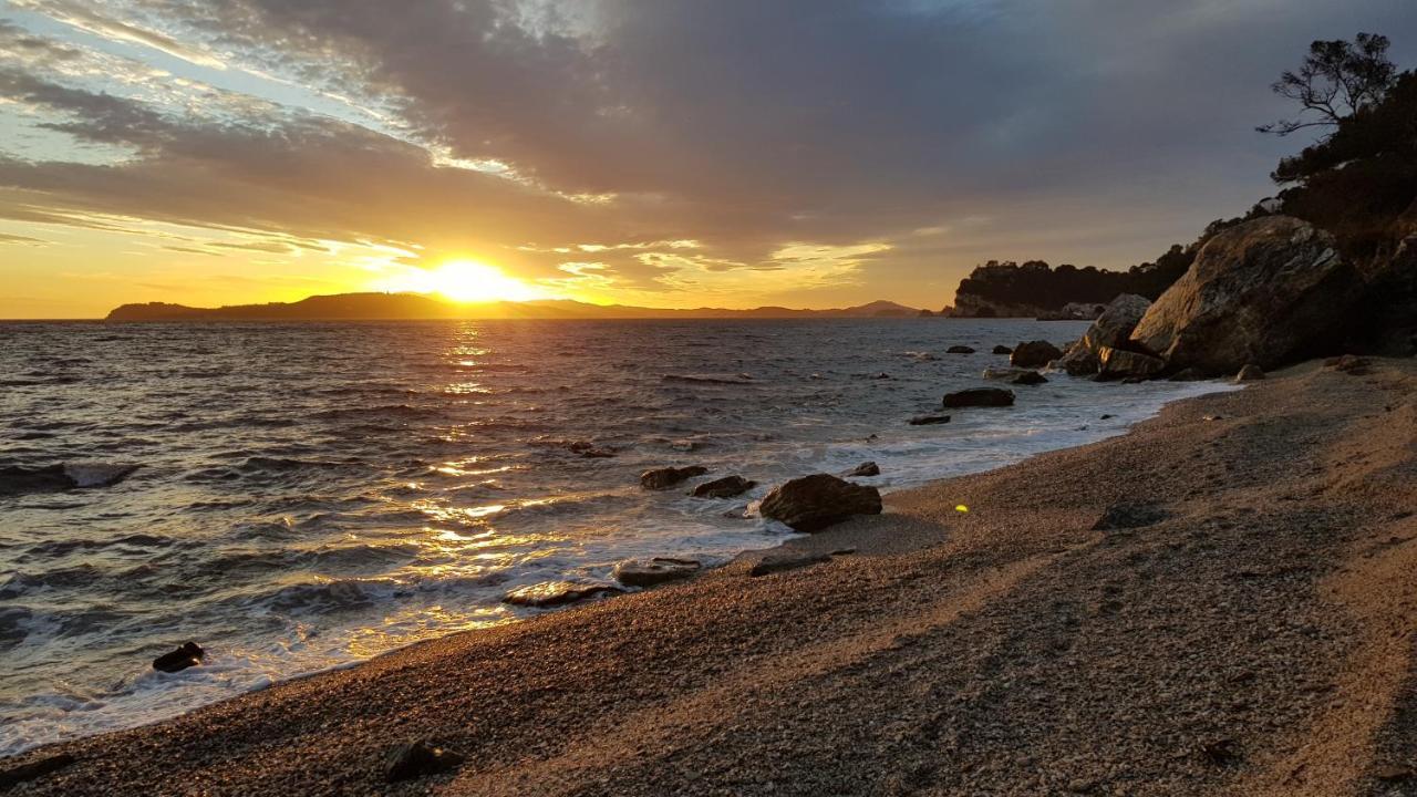 Apart Plage Lägenhet Carqueiranne Exteriör bild